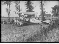 Photographie noir et blanc montrant un avion dans un champ. 