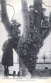 Carte postale noir et blanc montrant des soldats en poste d'observation dans un arbre.