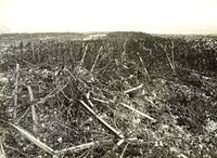 Photographie noir et blanc montrant une barrière composée de plusieurs rangées de barbelés au milieu d'un champ.