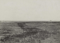 Photographie noir et blanc montrant une plaine hérissée de barbelés.