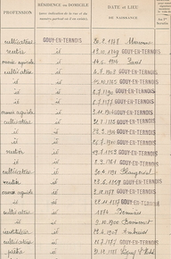 Document manuscrit montrant trois colonnes indiquant les professions, la résidence du domicile et les date et lieu de naissance.