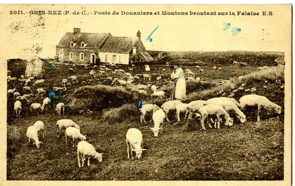 Carte postale en noir et blanc d’un troupeau de moutons broutant devant une maison, au bord de la falaise. Au milieu d’eux se tient un berger