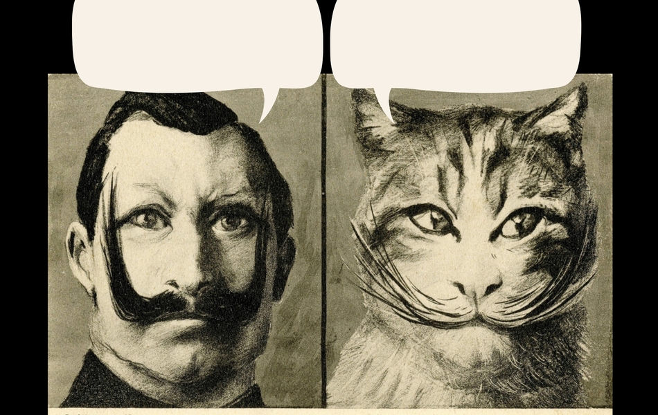 Deux caricatures en noir et blanc, l’une à côté de l’autre. La première représente le portrait de Guillaume II, aux moustaches exagérément longues et pointant vers le haut. La deuxième représente le portait d’un chat positionné de la même manière et portant l’exacte même moustache. Chacun affirme quelque chose (deux bulles de BD).